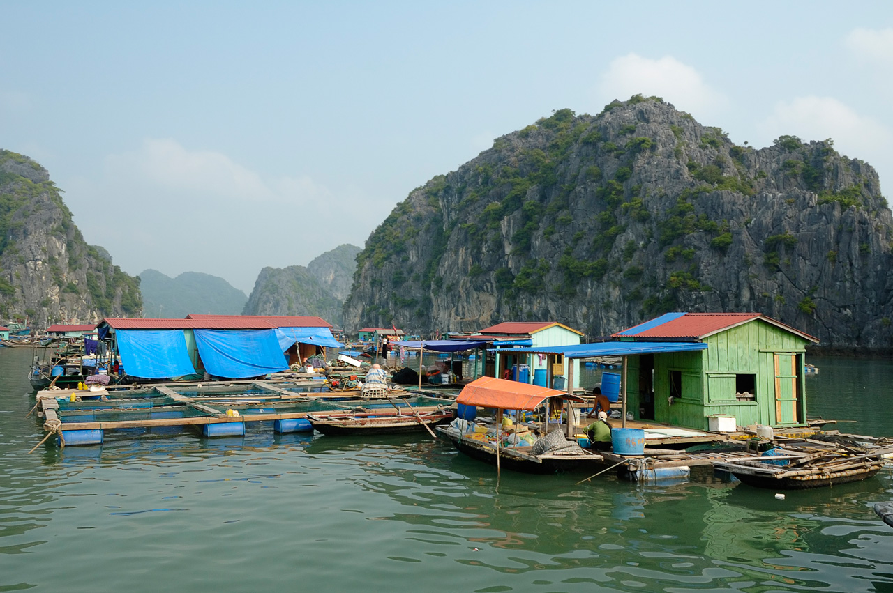harbor
